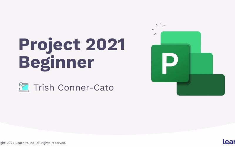 project破解版