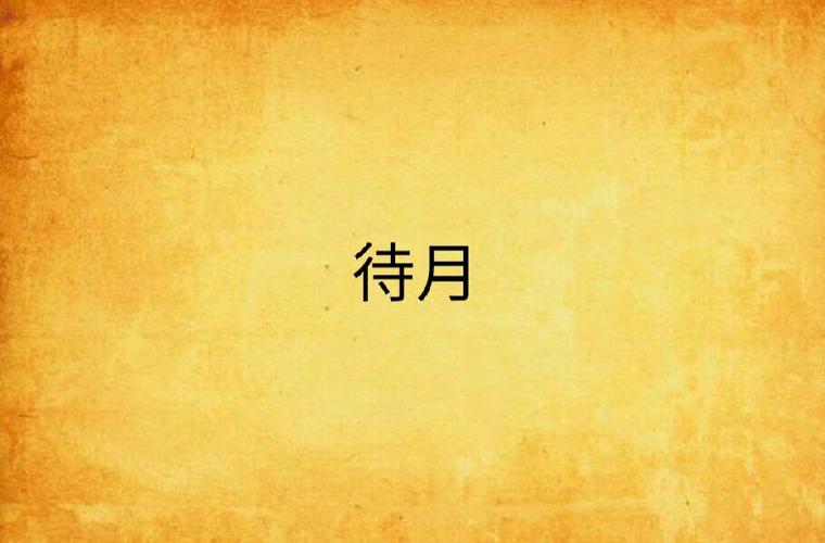 待月小说