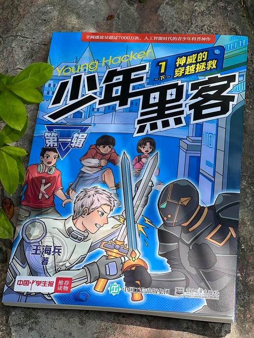 犯罪的少年完美版
