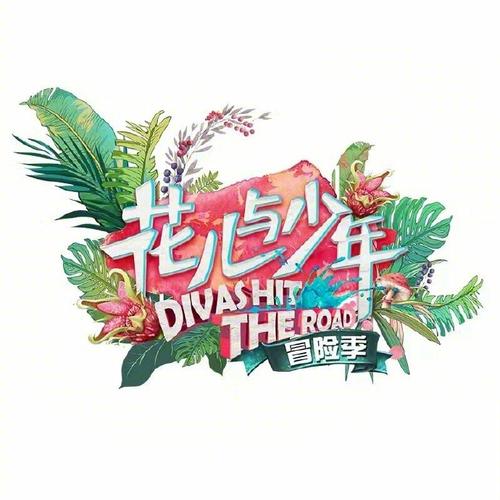 花儿与少年无限阅读币版