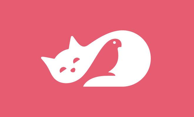 猫咪app