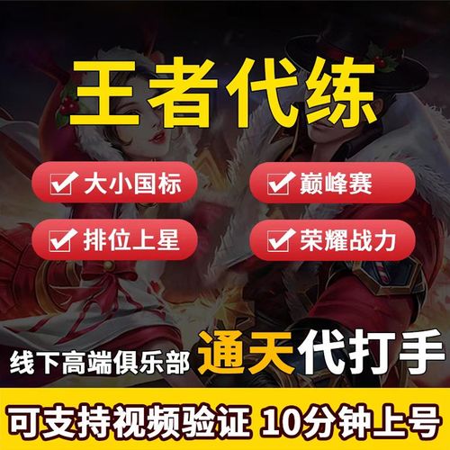 王者荣耀代练无限时间版