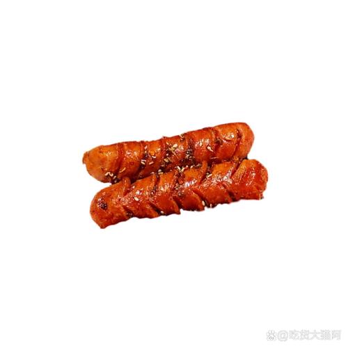 香肠视频xc0100