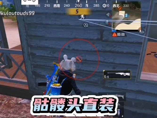 和平精英骷髅头直装免费阅读缩略图