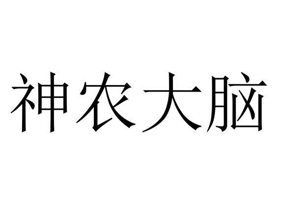神农大脑截图