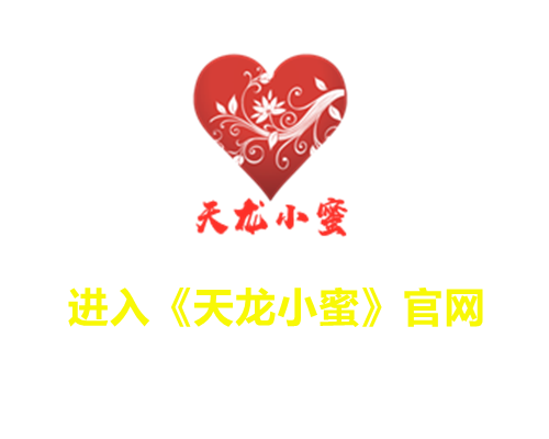 天龙辅助专业版