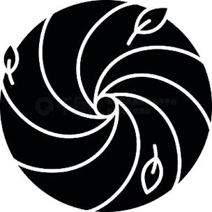 旋风永久免费加速破解黑色老版