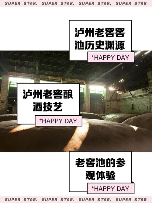 窖池视频抢先版缩略图