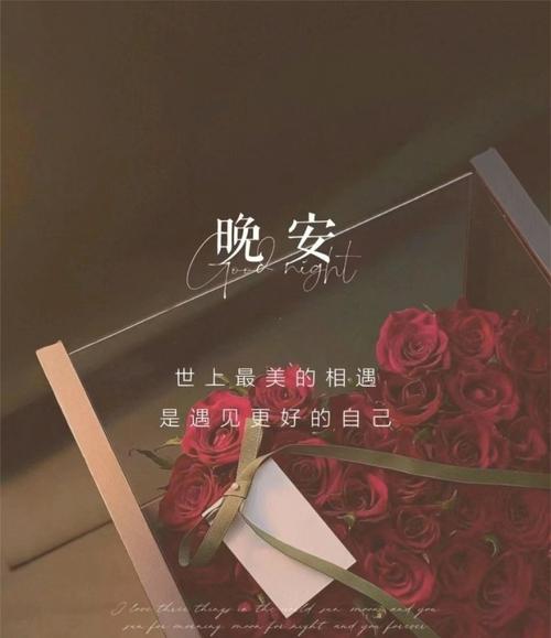 美好的夜晚从花季开始大全白色版无删减