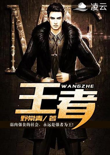 王者小说无删减版