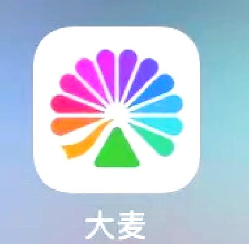 抢麦2024年免费安装免付费
