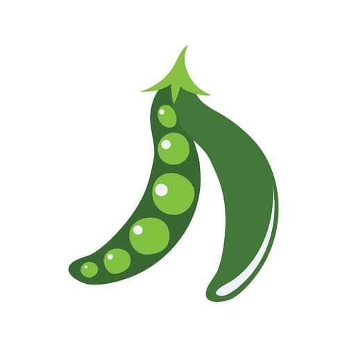 豌豆直装科技