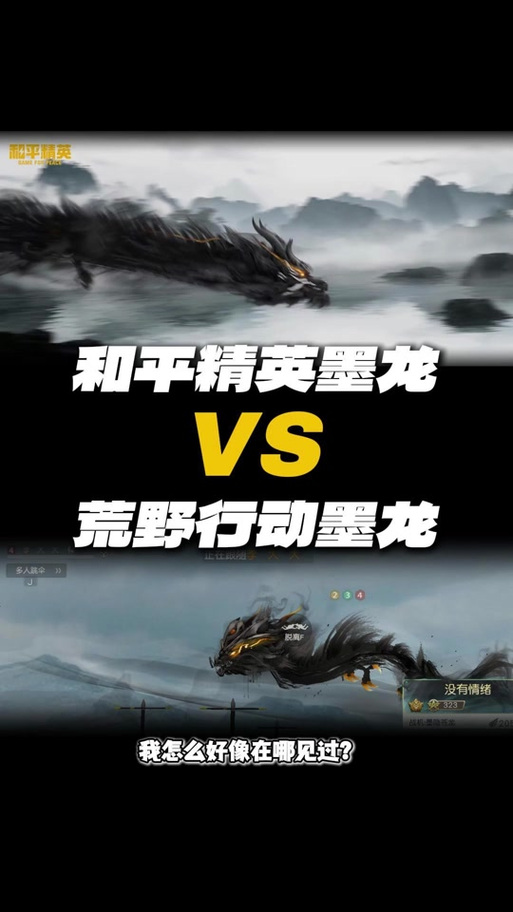 和平精英龙傲天容器直装