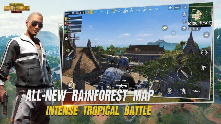 pubg白开水国体直装轻量版