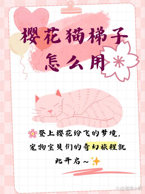 樱花猫梯子安装包解锁版截图