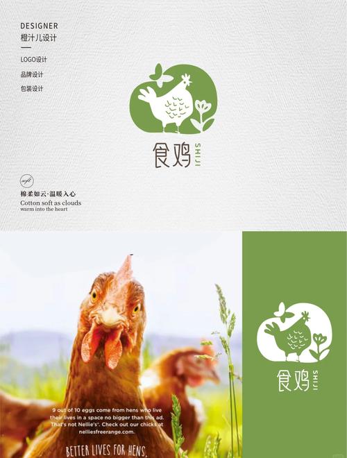 养鸡啦