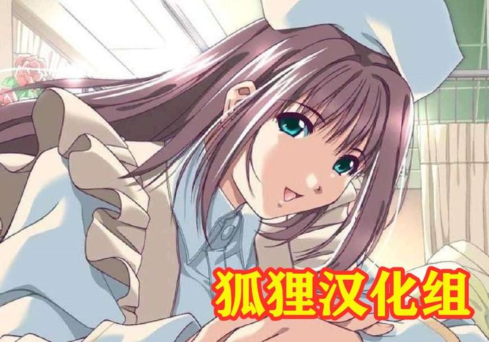 狐狸汉化组的20部直装游戏国际版