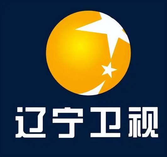 辽宁电视官方网站赚钱版