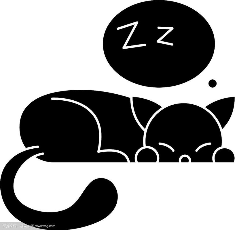 睡着的小猫咪