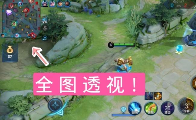 王者全图透视脚本