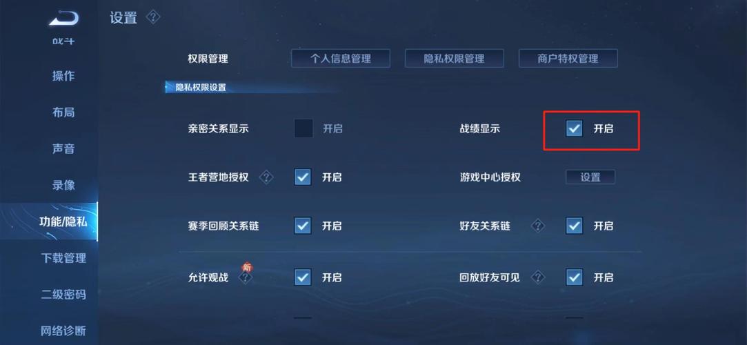 王者荣耀隐藏战绩查询器