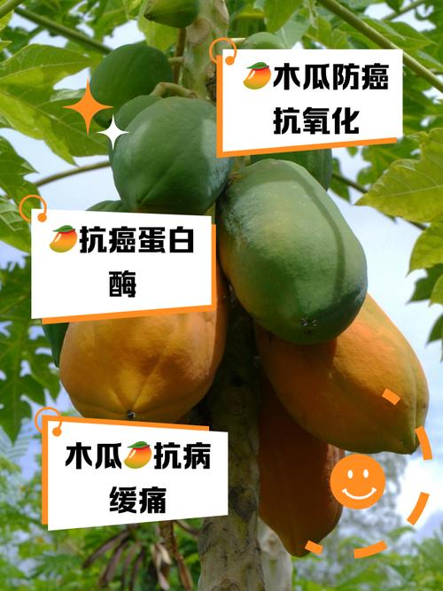 木瓜视频是细菌还是病毒图片锦集