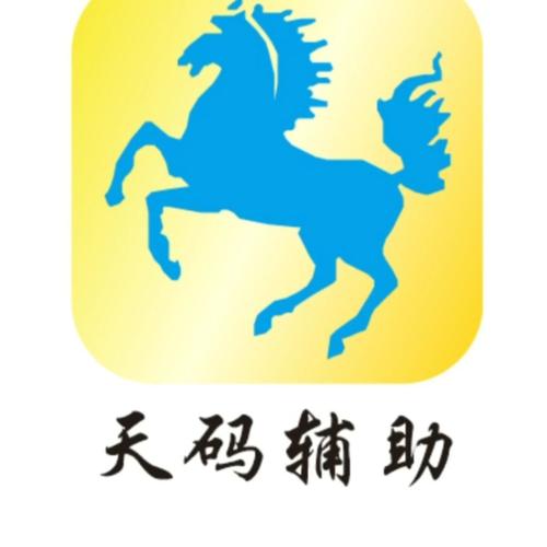 天码辅助app无限能量