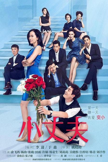 小丈夫电视剧全集剧情彩色版