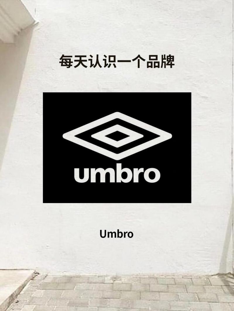 bangumi官网
