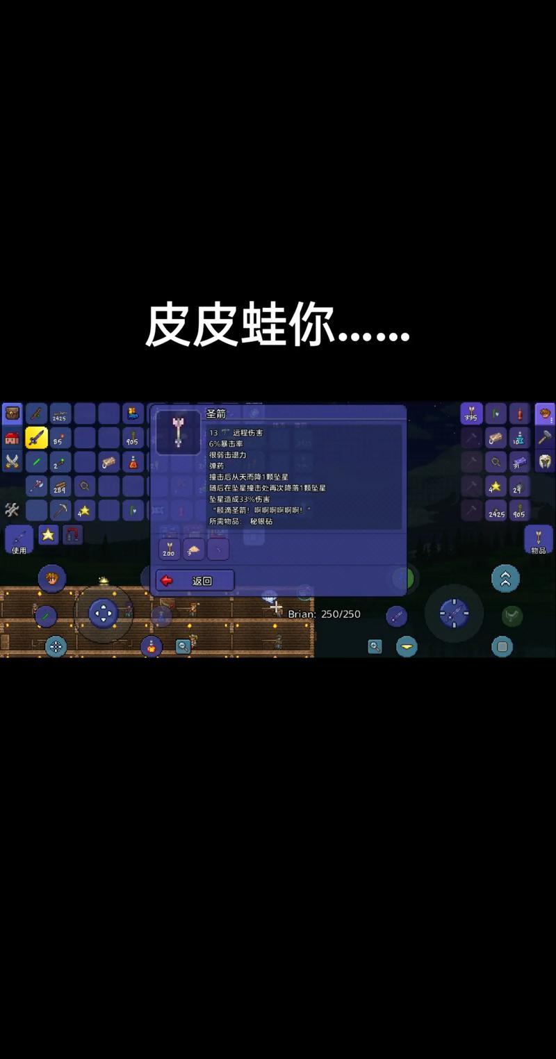 泰拉瑞亚6一只皮皮蛙