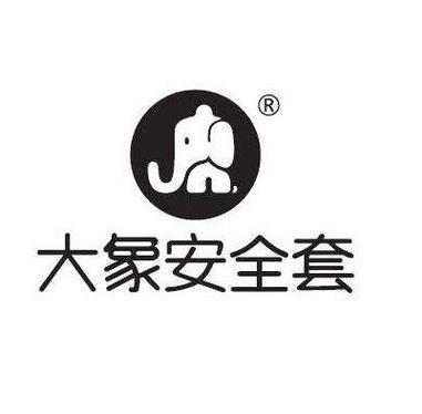 大象直装免卡密