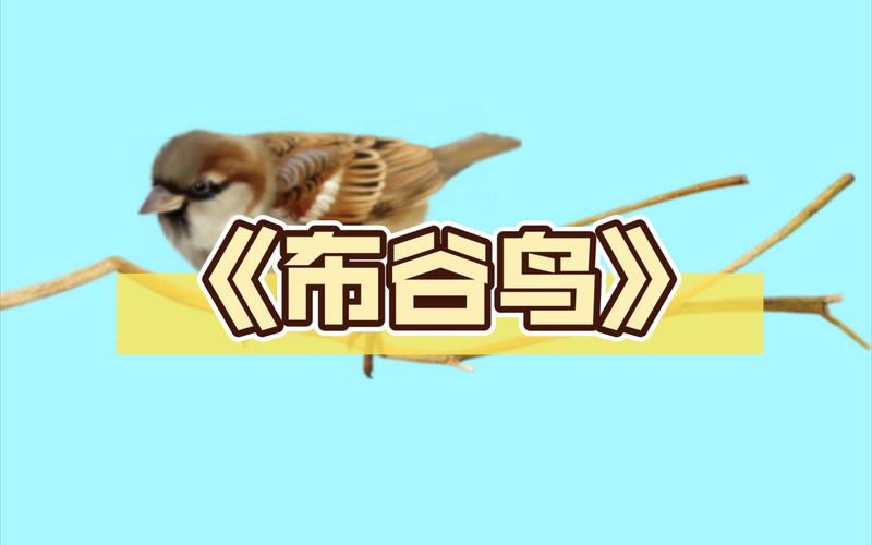 布谷鸟漫画去广告破解版升级
