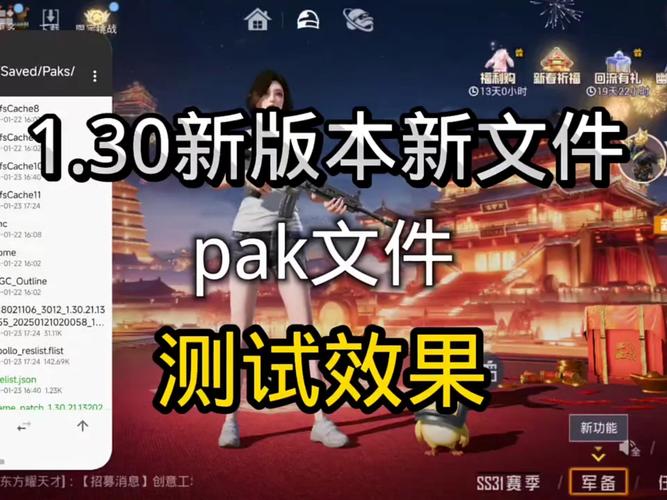 改文件和平精英免费改文件免费阅读