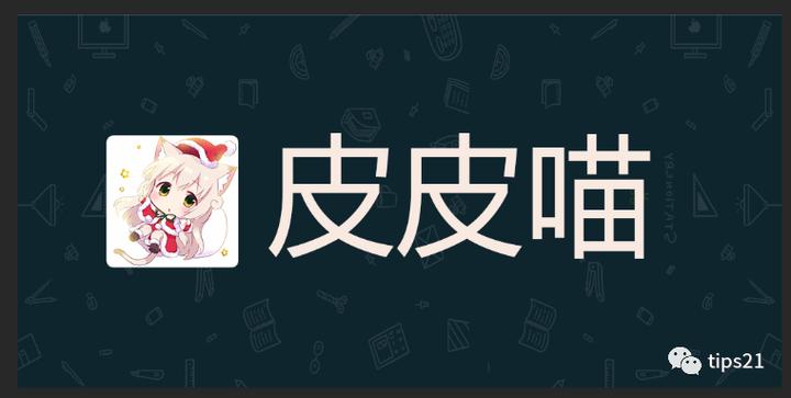 皮皮喵Lite官方版最新版