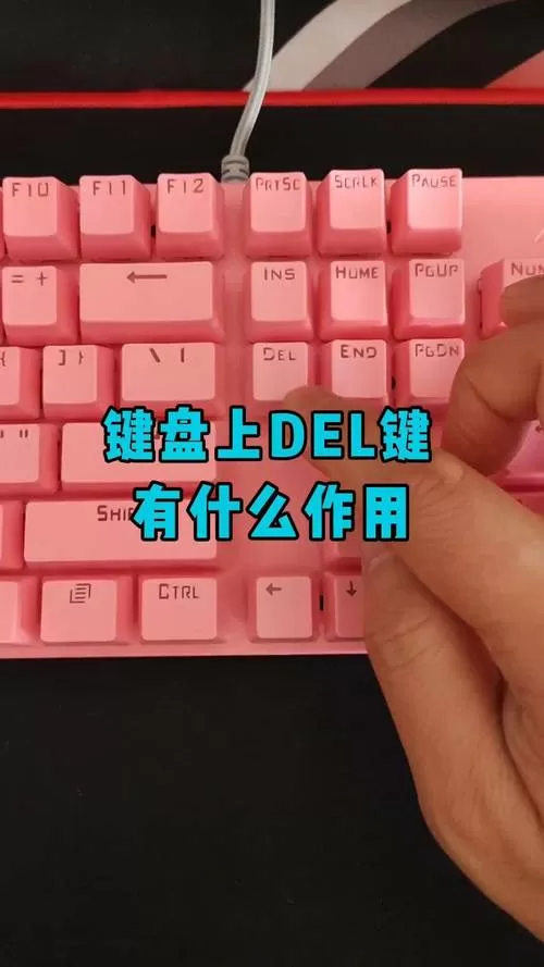 电脑的del键是哪个键