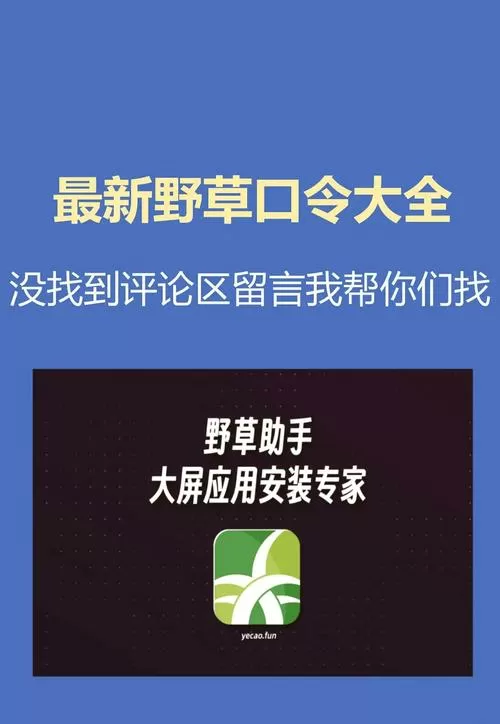 野草口令2025最新戏曲多多口令
