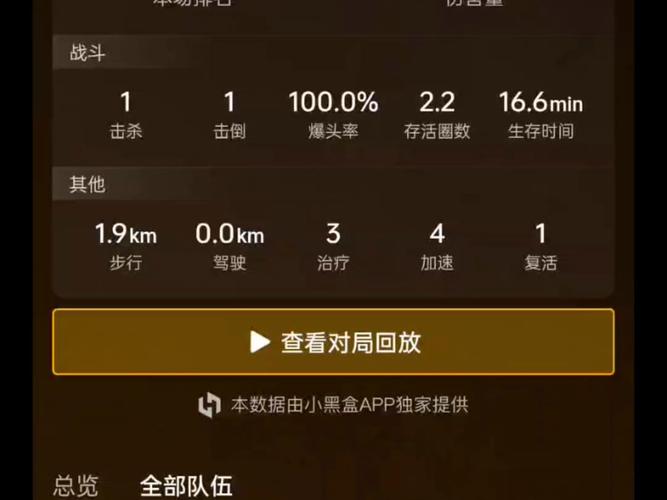小黑盒战绩怎么隐藏