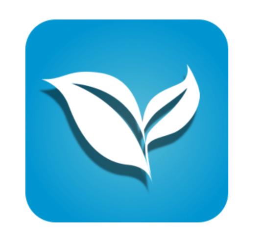 叶子tv1.3.1破解版