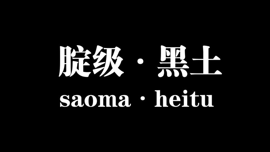 黑土招募图片