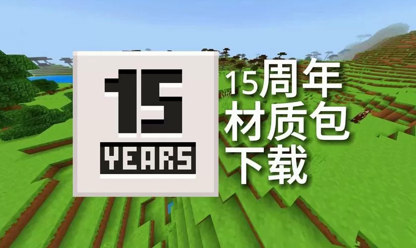 我的世界官方材质包原版