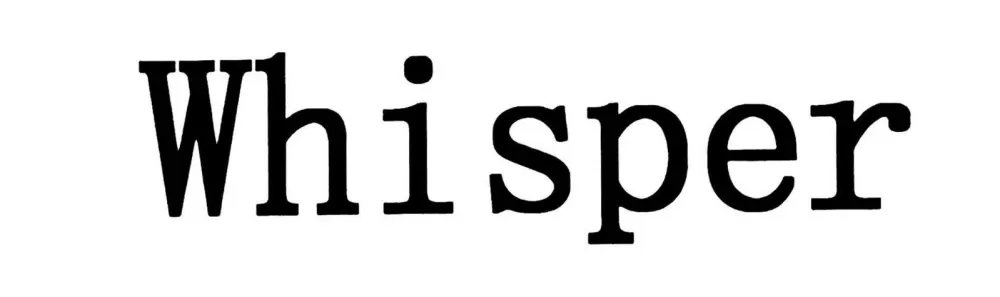 whisperAI免费破解版