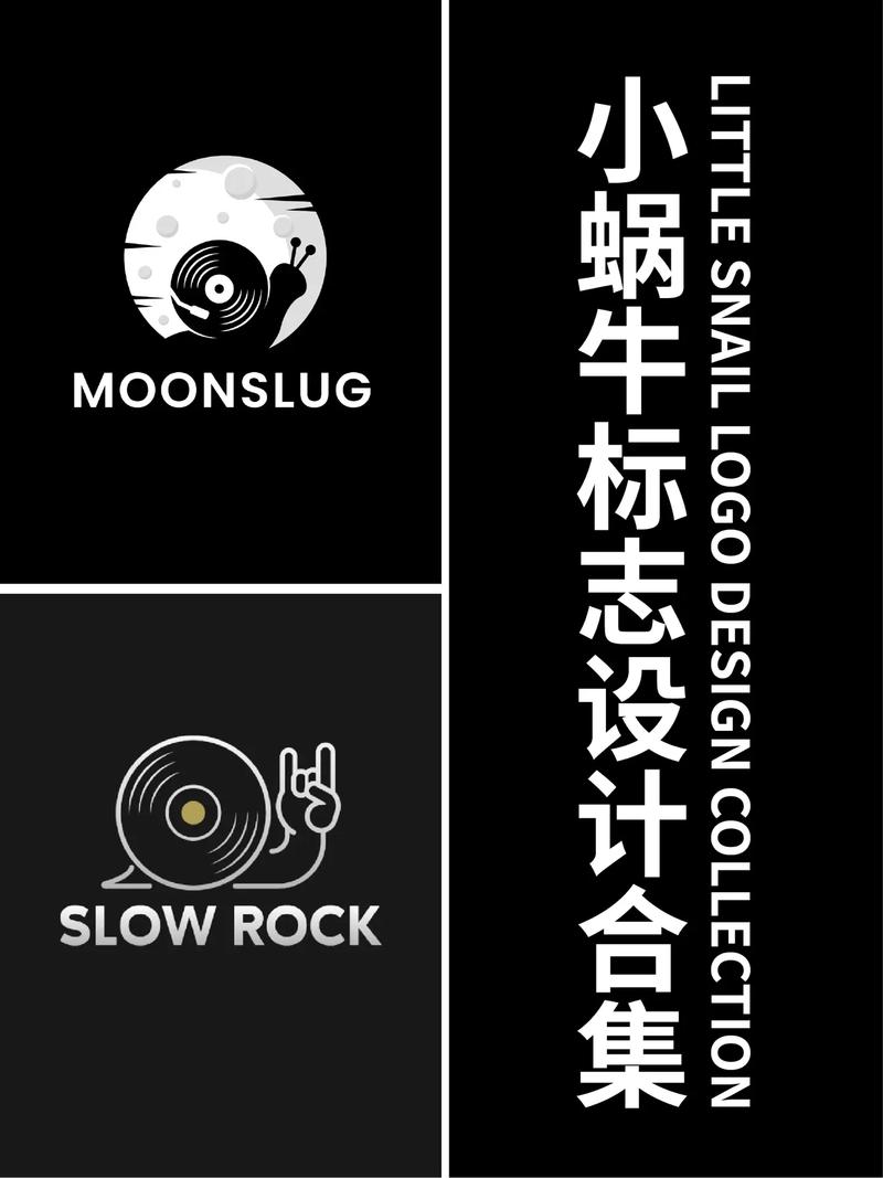 蜗牛加速器官网黑色版免墙版
