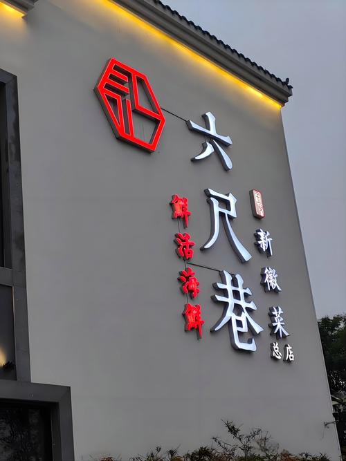 知巷2022正版