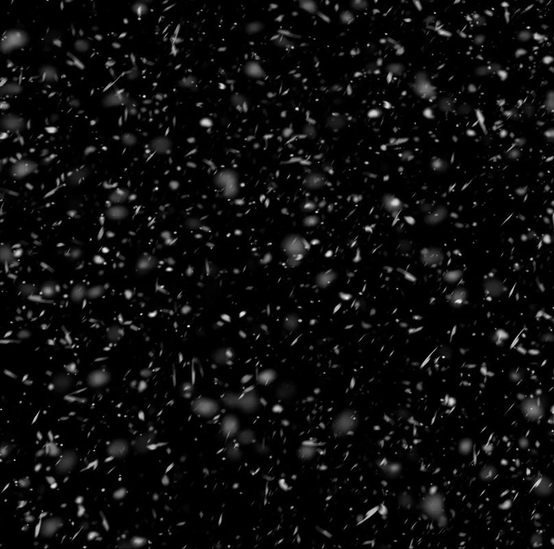 雪花纷飞的视频素材纯净无广告版