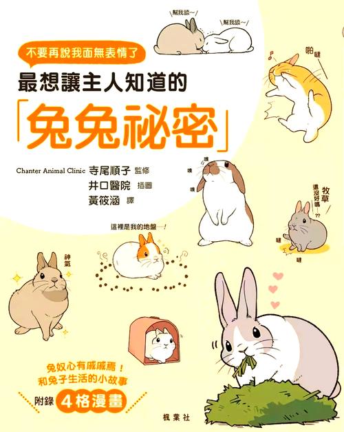 兔子兔子在线免费观看解锁全部书源