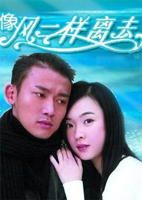 像风一样离去 电视剧加速永久