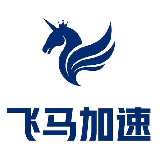 飞马NPV加速器旧版