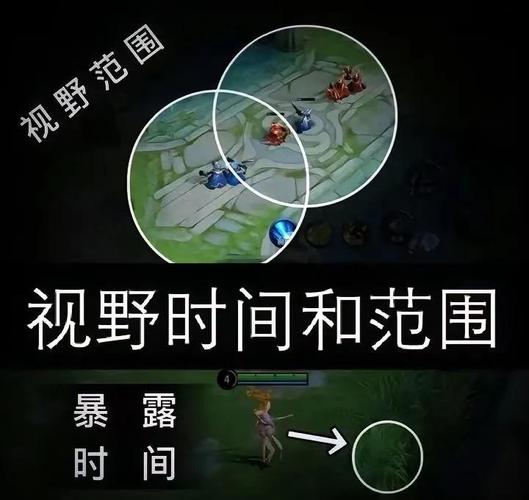 王者荣耀辅助开视野是什么意思中文字幕