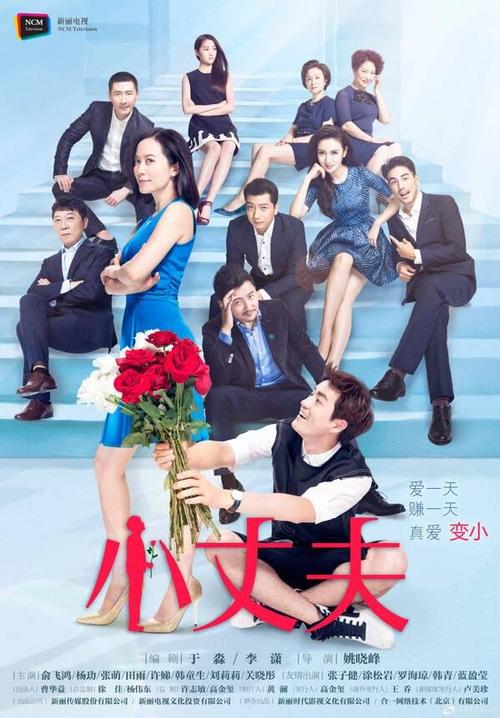 小丈夫电视剧全集剧情看书版
