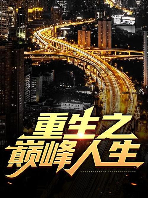 重生之人生巅峰